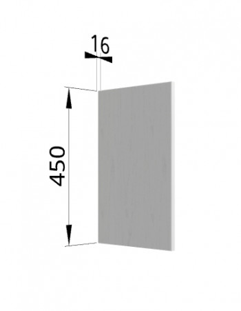 Панель торцевая (для шкафа горизонтального высокого) ВПГ Ройс (Графит софт) в Новоцелинном - novocelinnoe.mebel54.com | фото