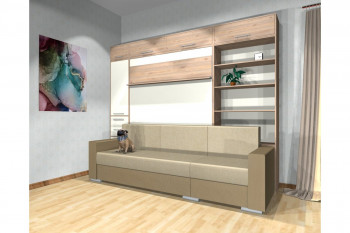 Шкаф-кровать с диваном Каролина в Новоцелинном - novocelinnoe.mebel54.com | фото